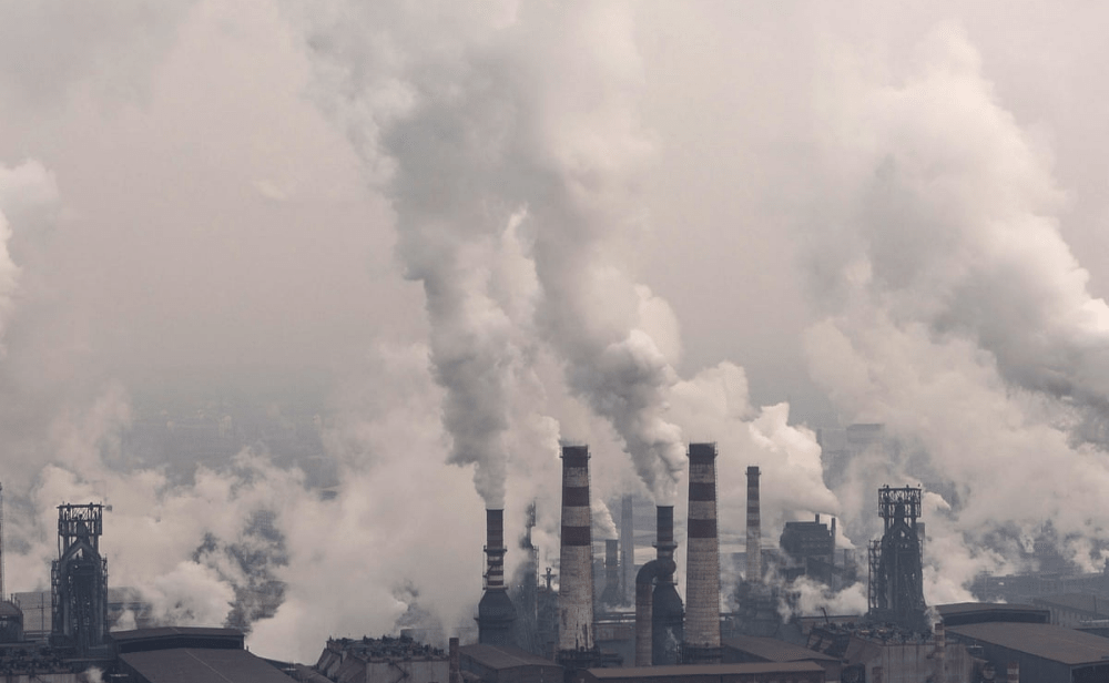 featuring Image of carbon zero-min