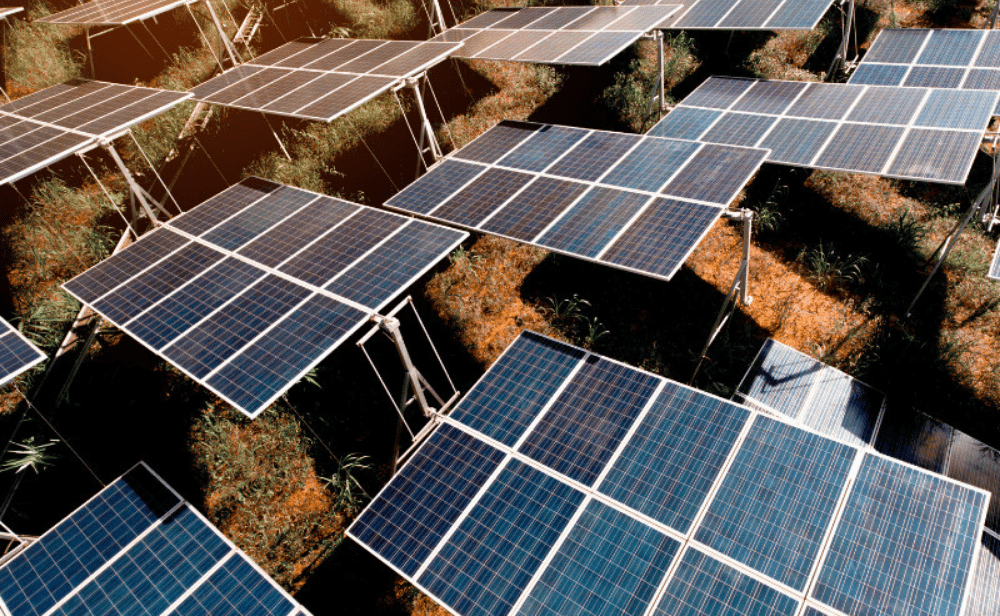 Featuring Image of 500 MW Solar Project Tender-min