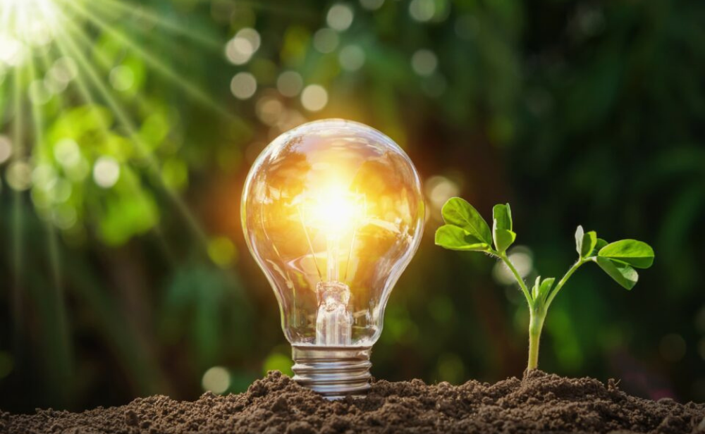 Renewable Electricity