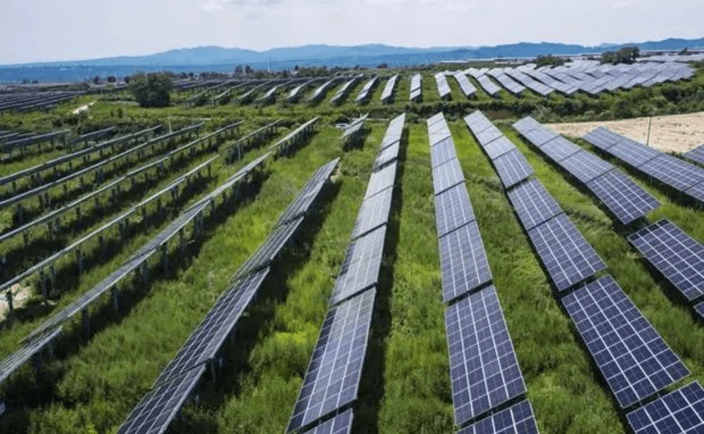 ReNew Power Sells its Rooftop Solar Portfolio for ₹6.72 Billion