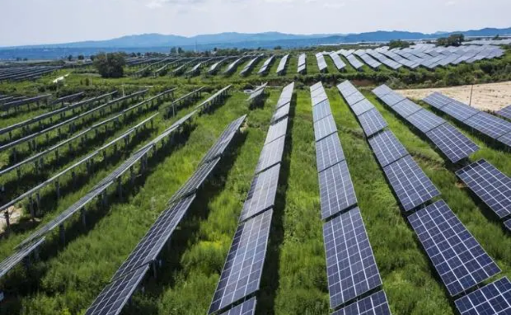 Scatec and ACME put $400 million India solar development on hold
