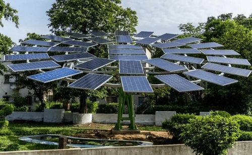 To Meet Increased Energy Demand, Prime Minister Modi is Urging Individuals to Set Up Solar Trees