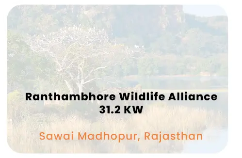Ranthambhaore Wildlife Alliance