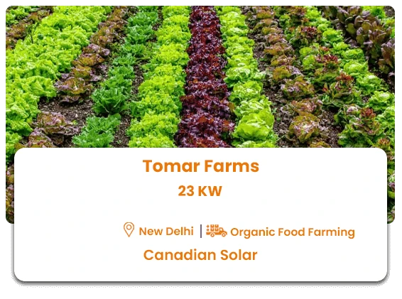 Tomar Farms