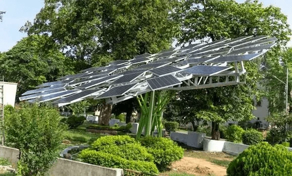 Panaji Embraces Clean Energy with One-of-Their-Kind Solar Trees