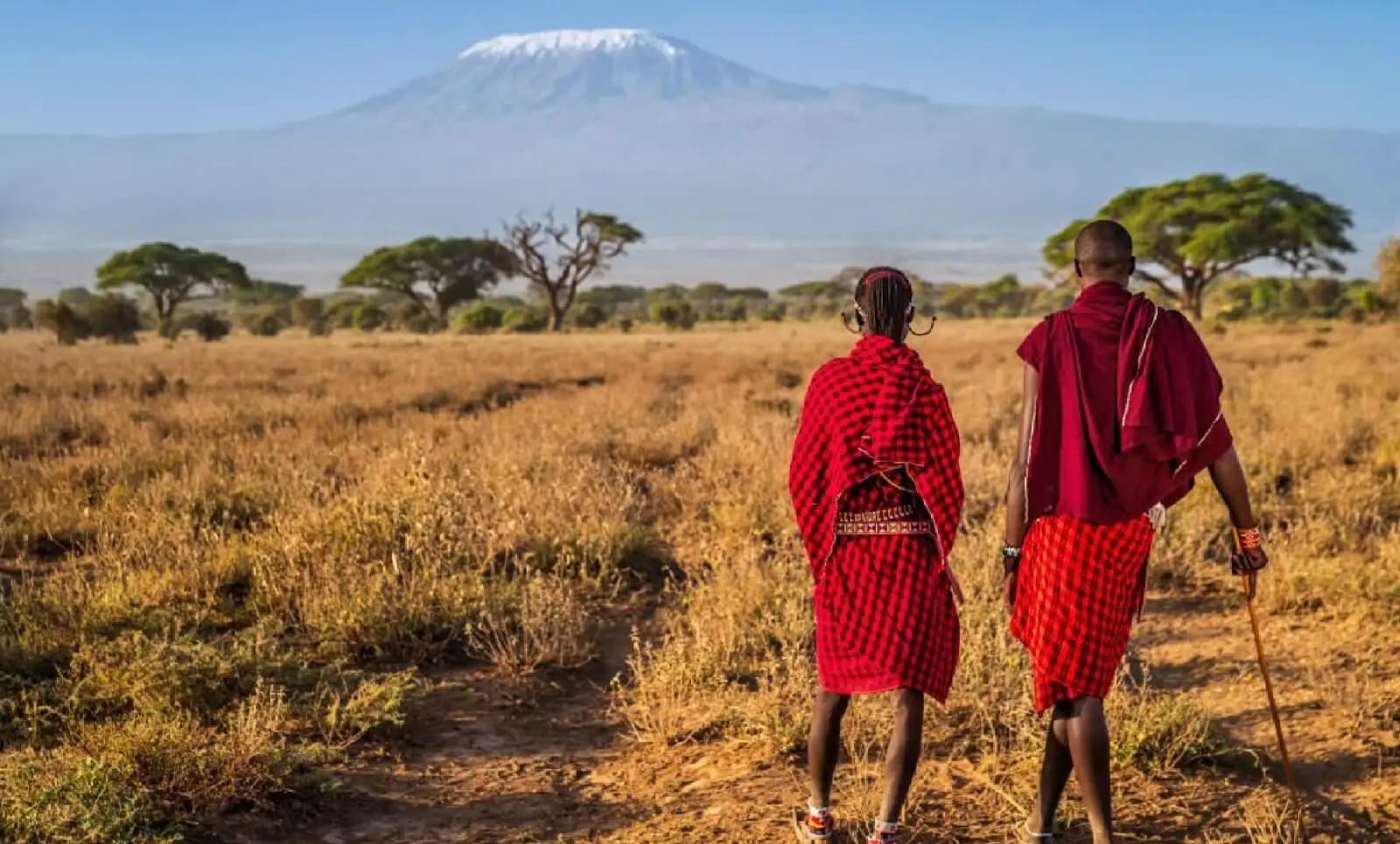 ISA Joins Hands with Africa50 to Develop Solar Projects