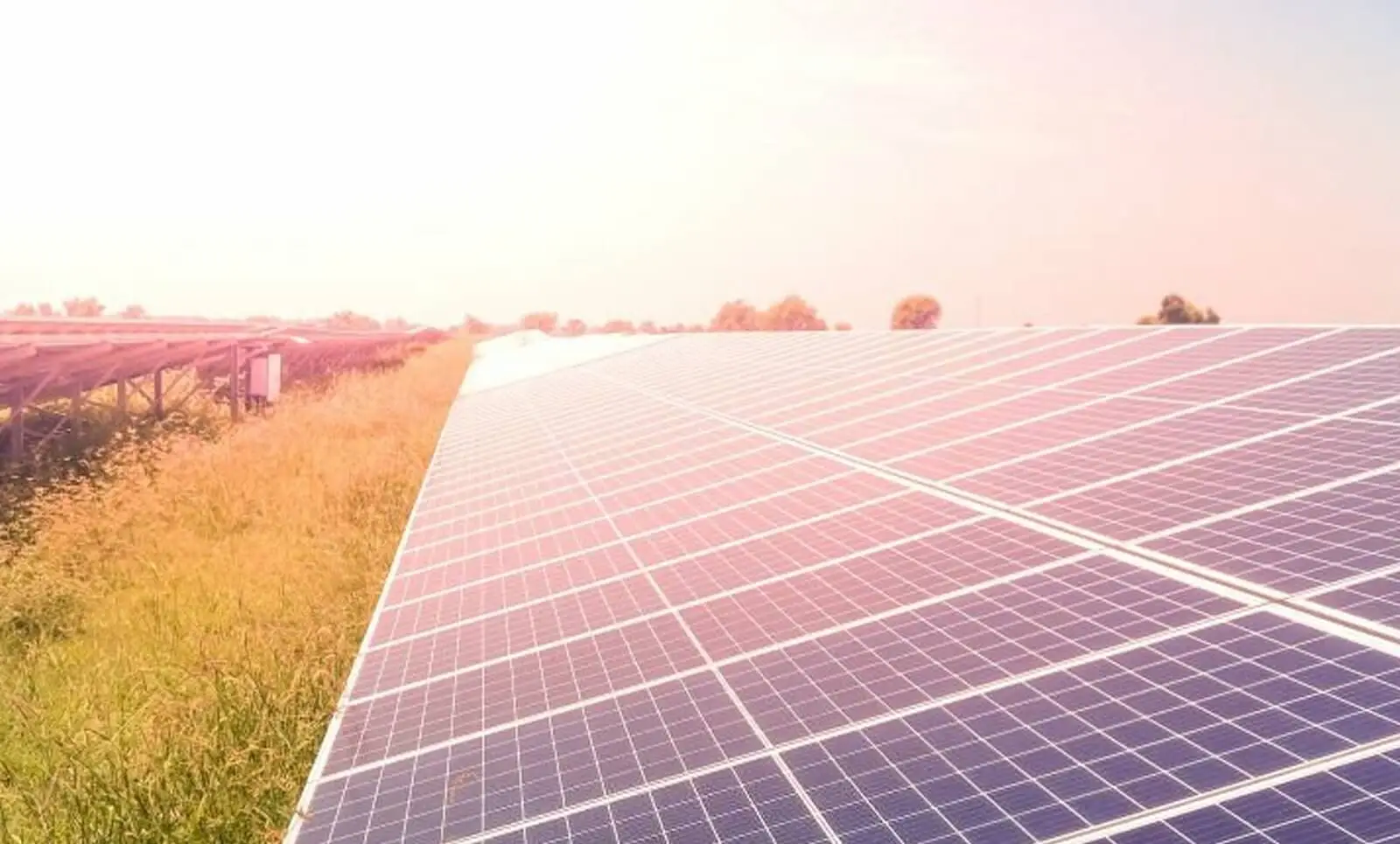 India Contributed 12% to the Global Solar Generation Increase