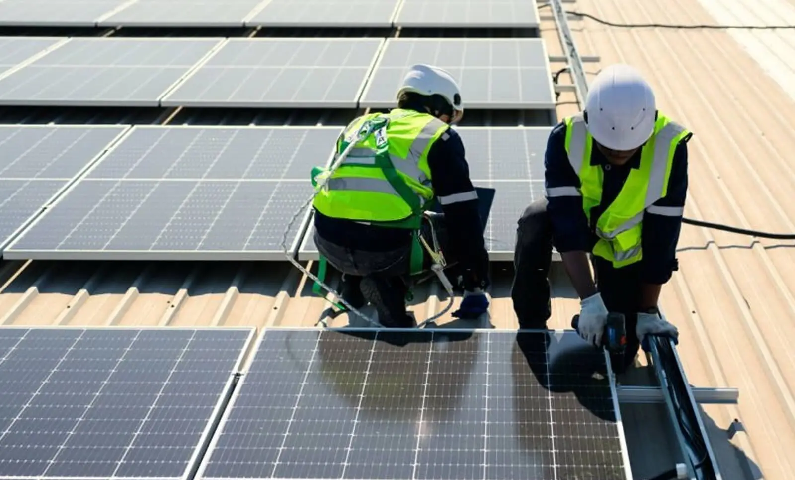 Renewable Energy Created Nearly 1 Million Jobs in India