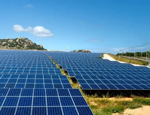 India Outpaces Japan to Secure Third Spot in Solar Production in 2023