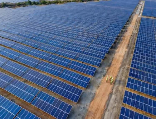 Rajasthan Unveils Four Solar Projects to Generate 3,000 MW of Power