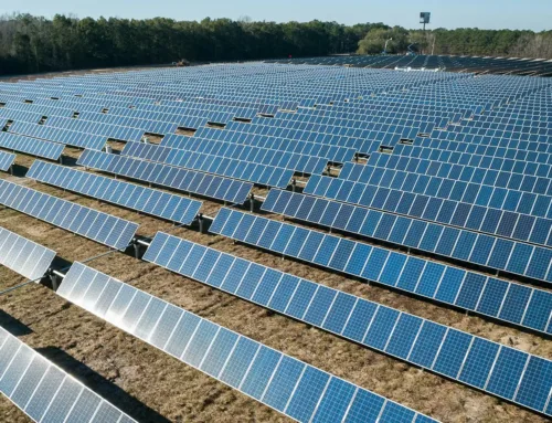 Ground-Mounted Solar Power Plants: Types, Benefits, Costs, Subsidies, and Real-World Case Studies