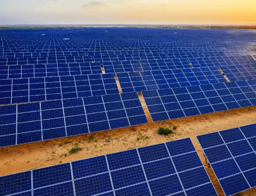 Maharashtra to Launch 1.2 GW Renewable Solar Park in Solapur