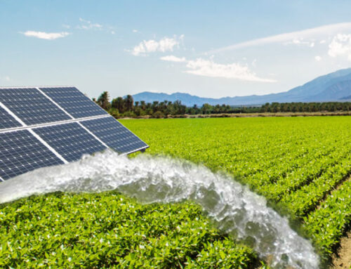 PM-KUSUM Achieves Major Milestone: 10.9 Lakh Solar Pumps and ₹7,106 Crore Support