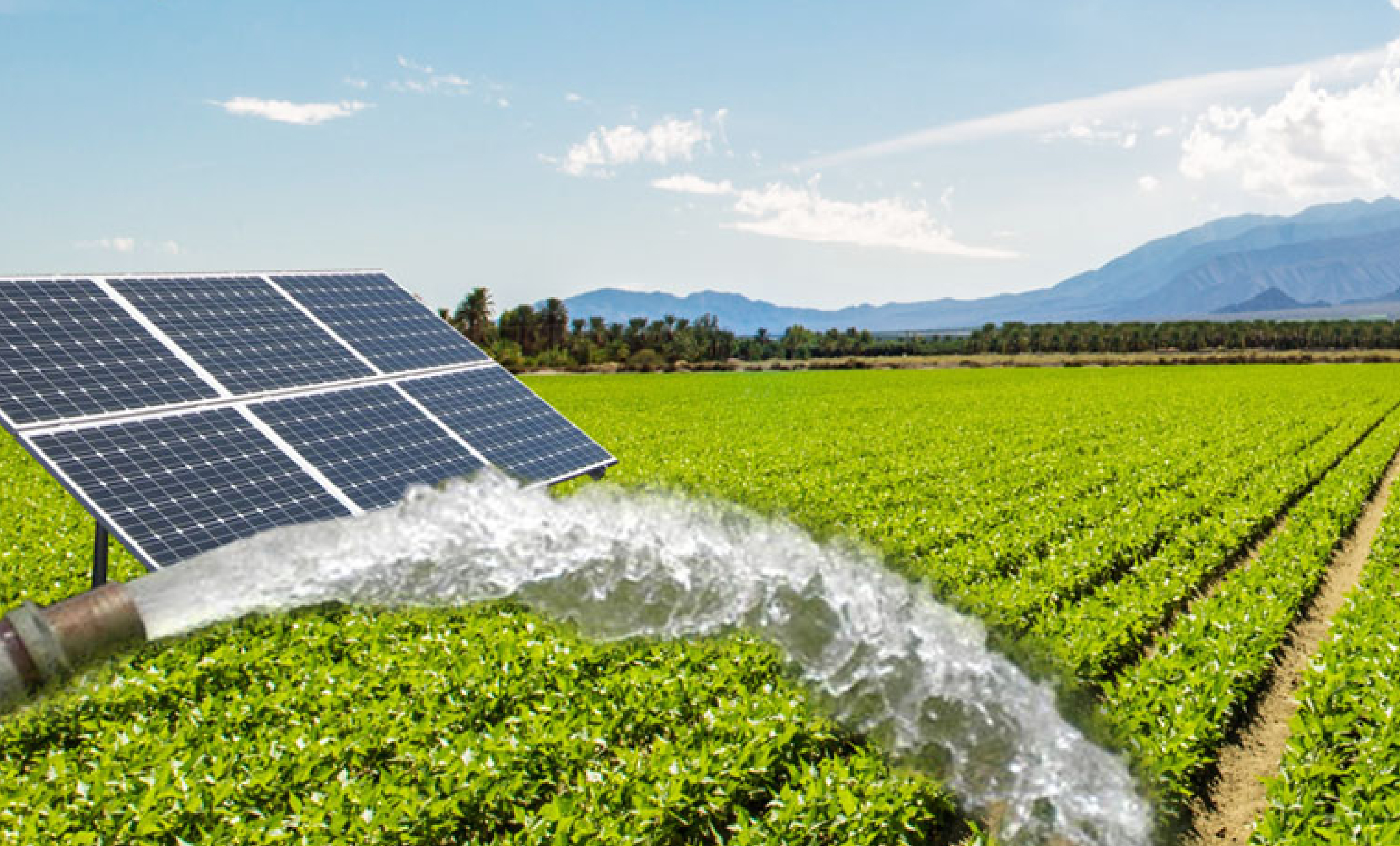 PM KUSUM Yojana solar subsidy 2025