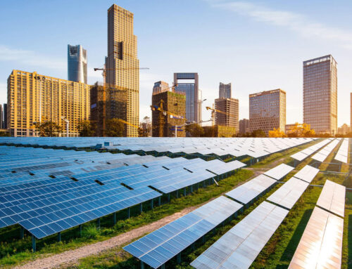 Maharashtra to Power All Government Offices with Solar Energy by December 2025