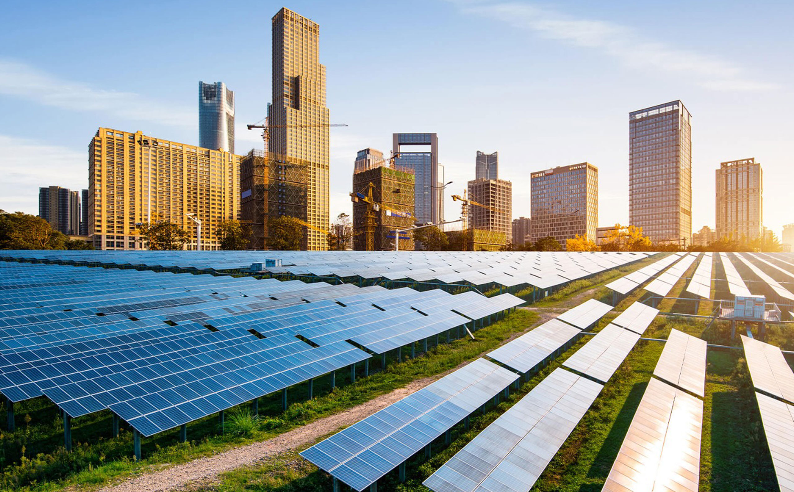 Maharashtra to Power All Government Offices with Solar Energy by December 2025