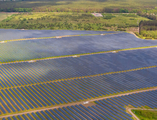 IIM Nagpur Powers Its Campus with a 2 MW Solar Park for Green Self-Reliance