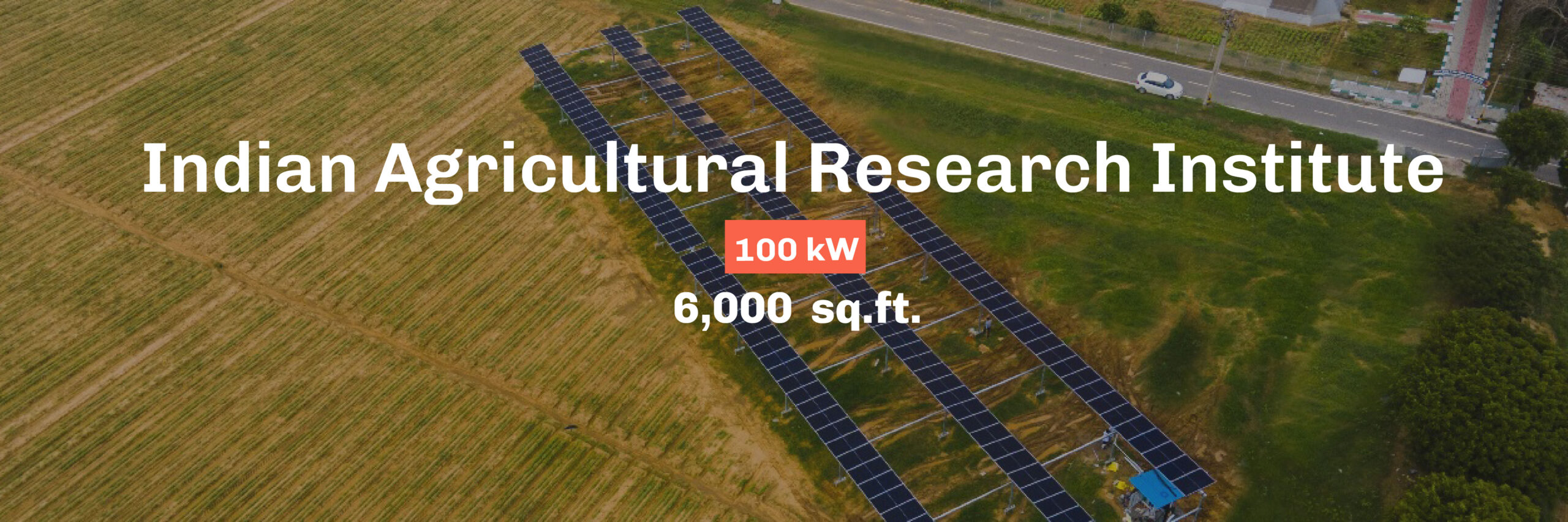 Indian Agricultural Research Institute