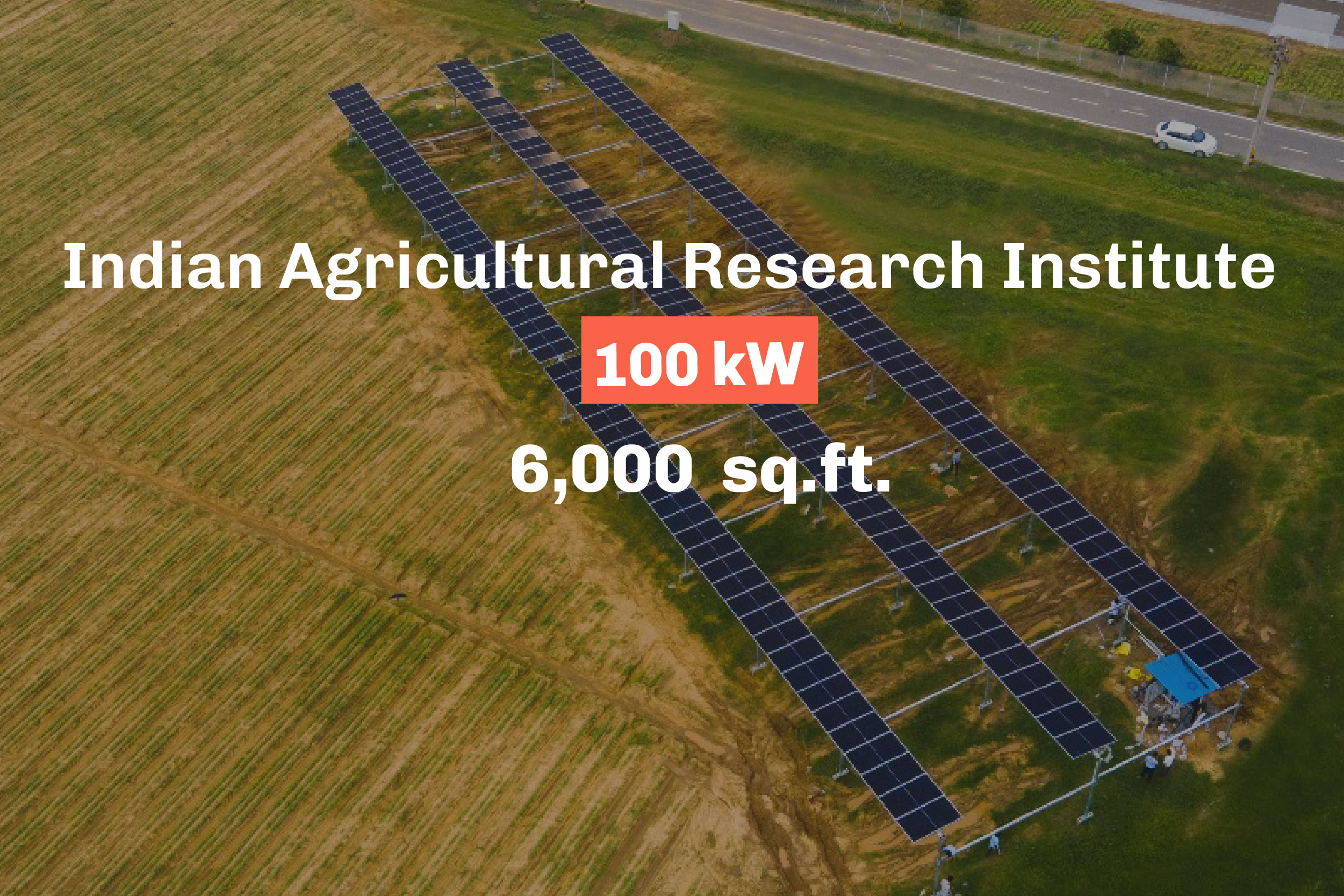 Indian Agricultural Research Institute