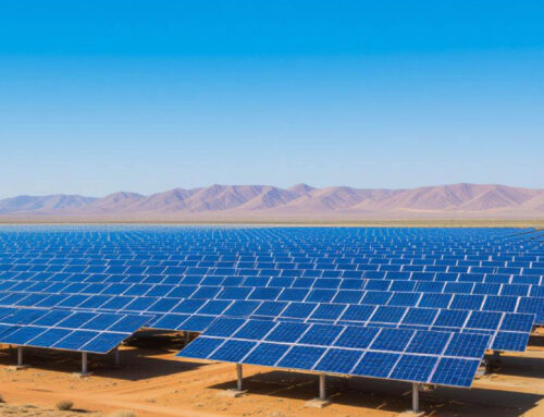 India’s Solar Sector Faces Oversupply and Trade Disruption Risks: Report