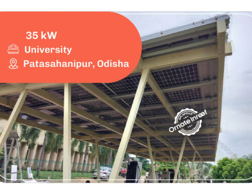 C.V. Raman Global University