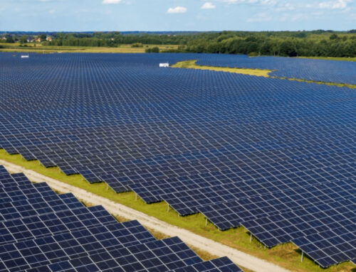 India Becomes World’s 3rd-Largest Solar Producer with 125 GW Capacity