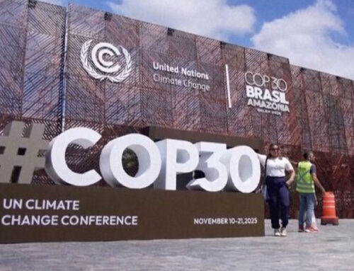 India Champions Solar Energy at COP30, Urges Global Support for SIDS