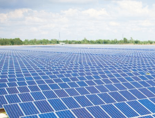 Punjab Floats 500 MW Solar Power Tender to Boost Clean Energy Capacity