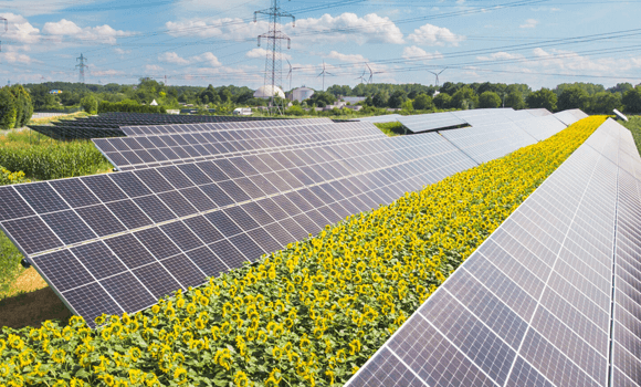 Solar agri-feeder scheme powering agricultural pumps in Maharashtra farms