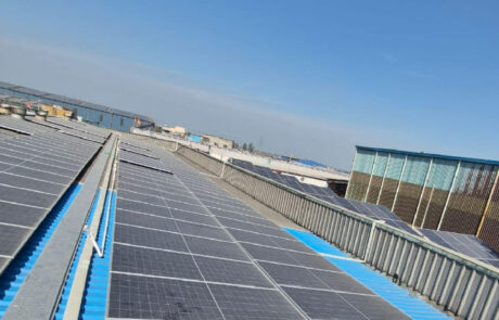 Radico Khaitan Limited distillery and Indian Made Foreign Liquor manufacturer in India