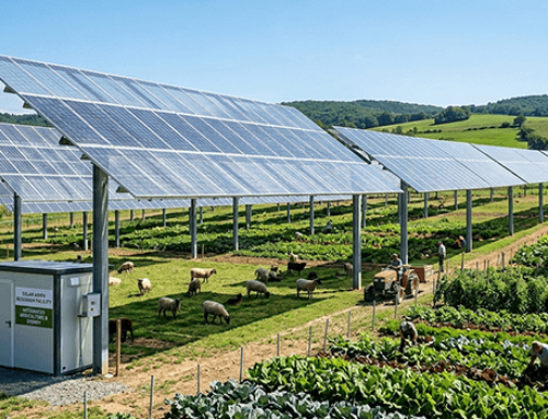 Telangana Plans to Make Solar Power Farmers’ Third Source of Income Through Agrivoltaics Initiative