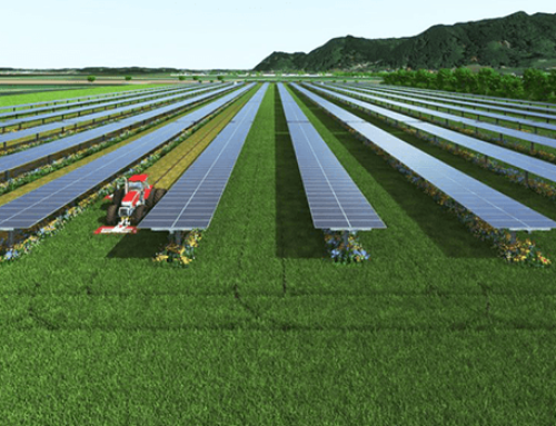 Uttar Pradesh Advances PM KUSUM Goals with Approval of 57 Solar Power Purchase Agreements