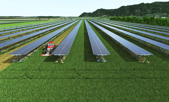 Uttar Pradesh Advances PM KUSUM Goals with Approval of 57 Solar Power Purchase Agreements